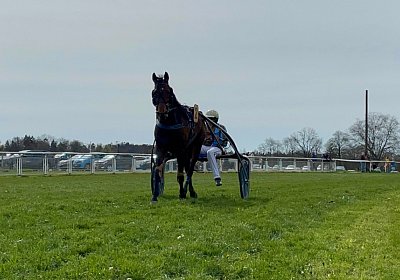 2023 04 10 Frauenfeld K IMG 9617 Alcide