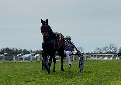 2023 04 10 Frauenfeld K IMG 9618 Alcide