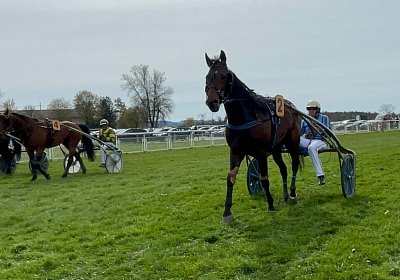 2023 04 10 Frauenfeld K IMG 9619 Alcide