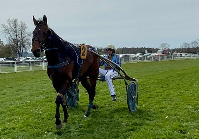 2023 04 10 Frauenfeld K IMG 9620 Alcide