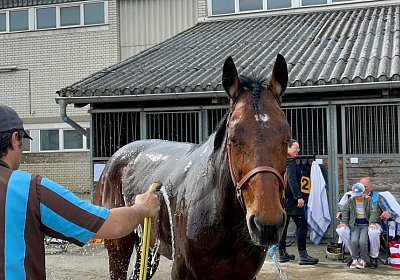 2023 04 10 Frauenfeld M IMG 9643 Alcide