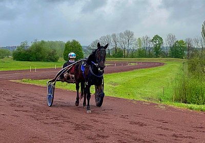 2023 04 29 Avenches IMG 0853 Maggiore