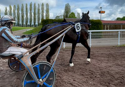 2023 04 29 Avenches IMG 0873 Maggiore