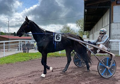 2023 04 29 Avenches IMG 0875 Maggiore