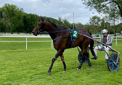 2023 05 14 Aarau IMG 1603 Alcide