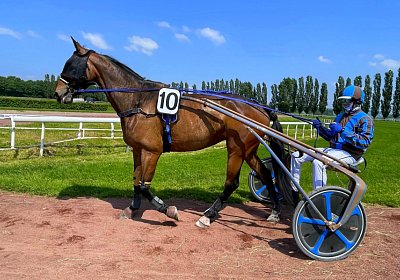 2023 05 26 Avenches F IMG 2378 Ina