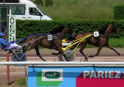 2023 05 26 Avenches F S7340020 Ina