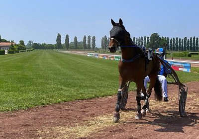 2023 05 26 Avenches G IMG 2380 Ina