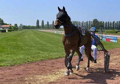 2023 05 26 Avenches G IMG 2381 Ina