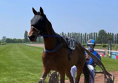 2023 05 26 Avenches G IMG 2382 Ina