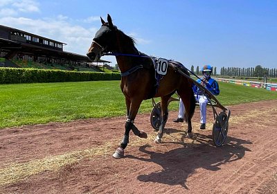2023 05 26 Avenches G IMG 2384 Ina