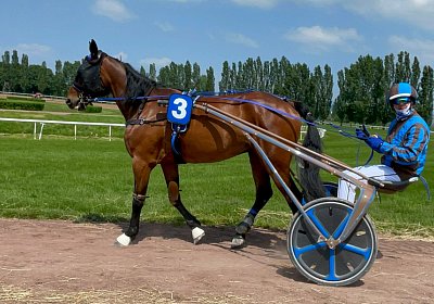 2023 05 26 Avenches H IMG 2389 Noon