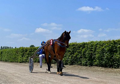 2023 05 26 Avenches K IMG 2395 Flash
