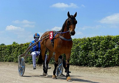2023 05 26 Avenches K IMG 2396 Flash