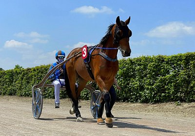 2023 05 26 Avenches K IMG 2397 Flash