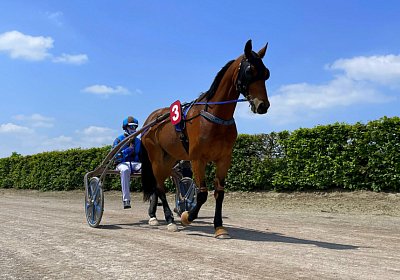 2023 05 26 Avenches K IMG 2398 Flash