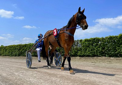 2023 05 26 Avenches K IMG 2399 Flash