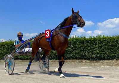 2023 06 16 Av K IMG 3537 Alcide