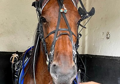 2023 06 17 Enghien IMG 3700 Divina