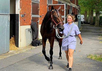 2023 06 17 Enghien M IMG 3743 Divina