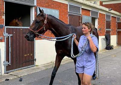 2023 06 17 Enghien M IMG 3746 Divina