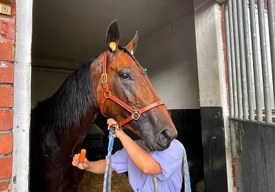 2023 06 17 Enghien M IMG 3760 Divina