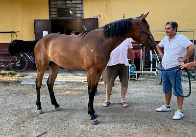 2023 06 23 Turin IMG 4040 La Formidable