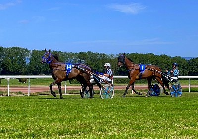 2023 07 07 Av IMG 4442 Jack Noon