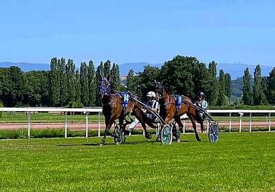 2023 07 07 Av IMG 4444 Jack Noon