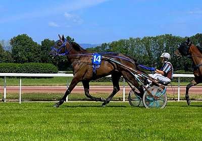 2023 07 07 Av IMG 4451 Jack