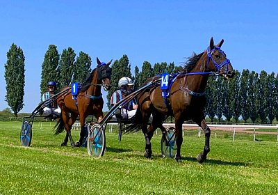 2023 07 07 Av IMG 4454 Jack Noon