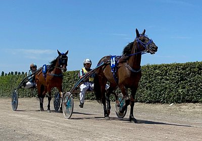 2023 07 07 Av IMG 4461 Jack Noon