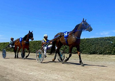 2023 07 07 Av IMG 4462 Jack Noon