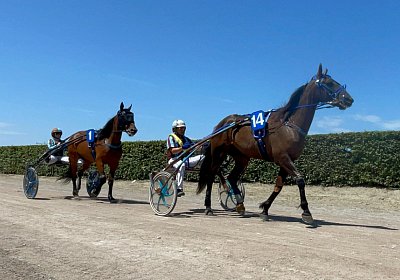 2023 07 07 Av IMG 4463 Jack Noon