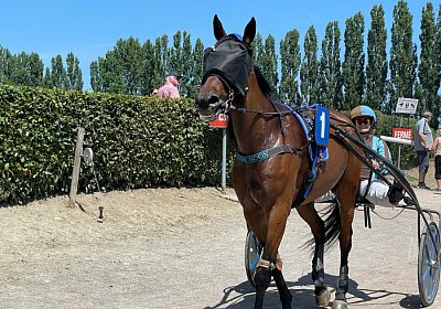 2023 07 07 Av IMG 4471 Noon