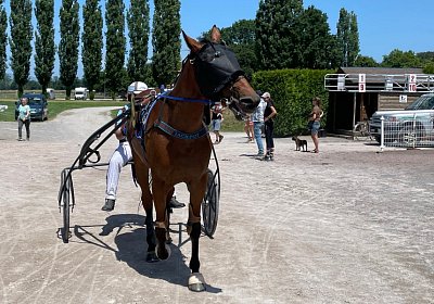 2023 07 07 Av IMG 4478 Jackpot