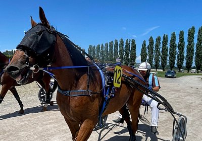 2023 07 07 Av IMG 4480 Jackpot