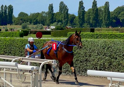 2023 07 15 Av M IMG 4982 Alcide