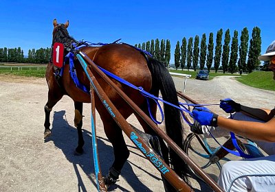 2023 07 15 Av M IMG 5002 Alcide
