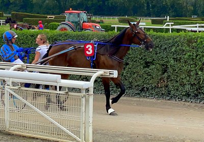 2023 07 24 Av O IMG 5511 Maggiore
