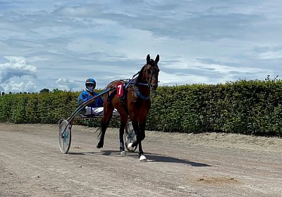 2023 08 04 Av S IMG 6090 Alcide