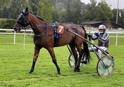 2023 08 27 Aarau IMG 7396 Noon