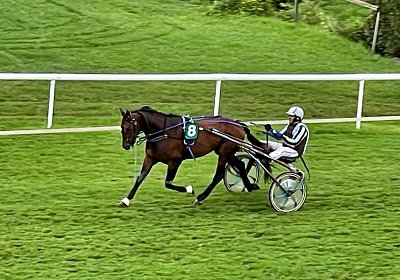 2023 08 27 Aarau IMG 7403 Alcide