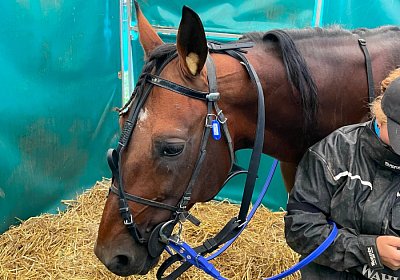 2023 08 27 Aarau IMG 7419 Alcide