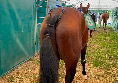 2023 08 27 Aarau IMG 7420 Alcide