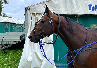 2023 08 27 Aarau IMG 7424 Alcide