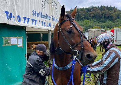 2023 08 27 Aarau IMG 7426 Alcide