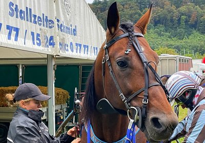 2023 08 27 Aarau IMG 7428 Alcide