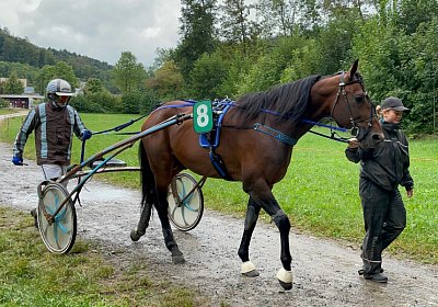 2023 08 27 Aarau IMG 7432 Alcide