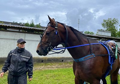 2023 08 27 Aarau IMG 7437 Alcide